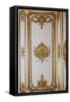 Cabinet intérieur du Roi Louis XV, détail des boiseries, décor 1760-null-Framed Stretched Canvas