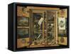 Cabinet of Curiosities-null-Framed Stretched Canvas