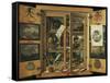 Cabinet of Curiosities-null-Framed Stretched Canvas