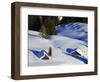 Cabins Nearly Covered in Snow in the German Alps-Walter Geiersperger-Framed Photographic Print