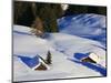 Cabins Nearly Covered in Snow in the German Alps-Walter Geiersperger-Mounted Photographic Print