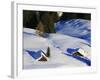 Cabins Nearly Covered in Snow in the German Alps-Walter Geiersperger-Framed Photographic Print