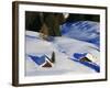 Cabins Nearly Covered in Snow in the German Alps-Walter Geiersperger-Framed Photographic Print