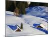 Cabins Nearly Covered in Snow in the German Alps-Walter Geiersperger-Mounted Photographic Print