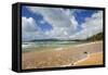 Cable Bay Waves Rolling in on the Golden Beach-null-Framed Stretched Canvas