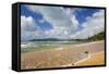 Cable Bay Waves Rolling in on the Golden Beach-null-Framed Stretched Canvas