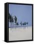Cable Beach, 2008-Alessandro Raho-Framed Stretched Canvas