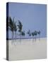 Cable Beach, 2008-Alessandro Raho-Stretched Canvas