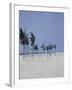 Cable Beach, 2008-Alessandro Raho-Framed Giclee Print