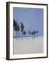 Cable Beach, 2008-Alessandro Raho-Framed Giclee Print