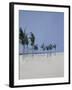 Cable Beach, 2008-Alessandro Raho-Framed Giclee Print