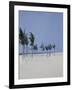 Cable Beach, 2008-Alessandro Raho-Framed Giclee Print