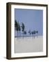 Cable Beach, 2008-Alessandro Raho-Framed Giclee Print