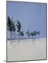 Cable Beach, 2008-Alessandro Raho-Mounted Giclee Print