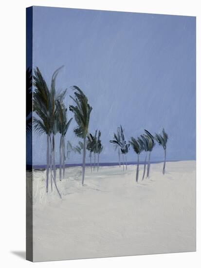 Cable Beach, 2008-Alessandro Raho-Stretched Canvas