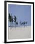 Cable Beach, 2008-Alessandro Raho-Framed Premium Giclee Print