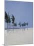 Cable Beach, 2008-Alessandro Raho-Mounted Giclee Print