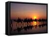 Cable Beach, Broome, Kimberley, Australia-Sergio Pitamitz-Framed Stretched Canvas