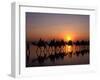 Cable Beach, Broome, Kimberley, Australia-Sergio Pitamitz-Framed Photographic Print