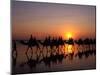 Cable Beach, Broome, Kimberley, Australia-Sergio Pitamitz-Mounted Photographic Print