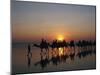 Cable Beach, Broome, Kimberley, Western Australia, Australia, Pacific-Pitamitz Sergio-Mounted Photographic Print