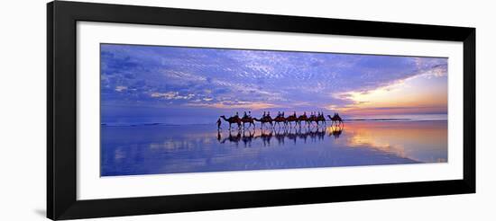 Cable Beach Camels-Wayne Bradbury-Framed Photographic Print