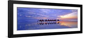 Cable Beach Camels-Wayne Bradbury-Framed Photographic Print