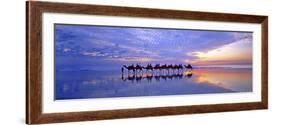 Cable Beach Camels-Wayne Bradbury-Framed Photographic Print