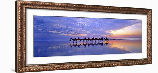 Cable Beach Camels-Wayne Bradbury-Framed Photographic Print