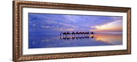 Cable Beach Camels-Wayne Bradbury-Framed Photographic Print