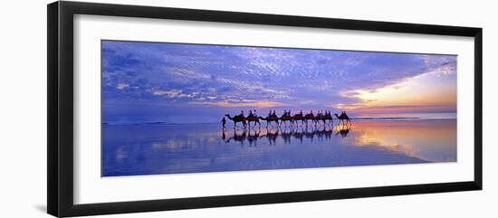 Cable Beach Camels-Wayne Bradbury-Framed Photographic Print