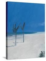 Cable Beach-Alessandro Raho-Stretched Canvas