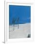 Cable Beach-Alessandro Raho-Framed Giclee Print