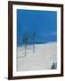 Cable Beach-Alessandro Raho-Framed Giclee Print