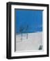 Cable Beach-Alessandro Raho-Framed Giclee Print