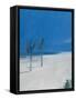 Cable Beach-Alessandro Raho-Framed Stretched Canvas