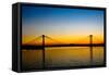 Cable Bridge-Erin Berzel-Framed Stretched Canvas