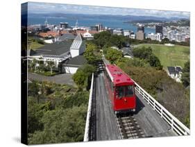Cable Car and View over Wellington City and Harbour, North Island, New Zealand, Pacific-Nick Servian-Stretched Canvas