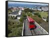 Cable Car and View over Wellington City and Harbour, North Island, New Zealand, Pacific-Nick Servian-Framed Stretched Canvas