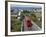 Cable Car and View over Wellington City and Harbour, North Island, New Zealand, Pacific-Nick Servian-Framed Photographic Print