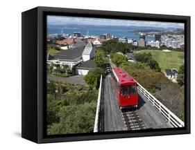 Cable Car and View over Wellington City and Harbour, North Island, New Zealand, Pacific-Nick Servian-Framed Stretched Canvas
