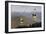 Cable Car, Belchen Summit, Black Forest, Baden Wurttemberg, Germany, Europe-Markus Lange-Framed Photographic Print