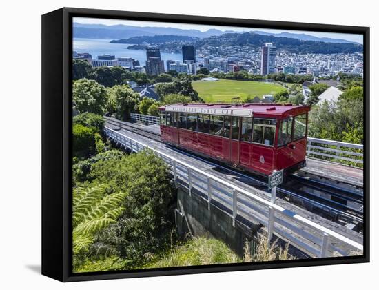 Cable Car, Wellington, North Island, New Zealand, Pacific-Michael Nolan-Framed Stretched Canvas