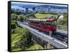 Cable Car, Wellington, North Island, New Zealand, Pacific-Michael Nolan-Framed Stretched Canvas