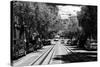 Cable Cars - Streets - Downtown - San Francisco - Californie - United States-Philippe Hugonnard-Stretched Canvas