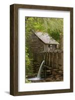 Cable Mill, Cades Cove, Great Smoky Mountains National Park, Tennessee-Adam Jones-Framed Photographic Print