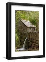 Cable Mill, Cades Cove, Great Smoky Mountains National Park, Tennessee-Adam Jones-Framed Photographic Print