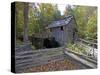 Cable Mill in Cades Cove, Great Smoky Mountains National Park, Tennessee, USA-Diane Johnson-Stretched Canvas