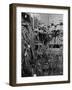 Cables on Early Computer-Jerry Cooke-Framed Photographic Print