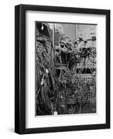 Cables on Early Computer-Jerry Cooke-Framed Photographic Print